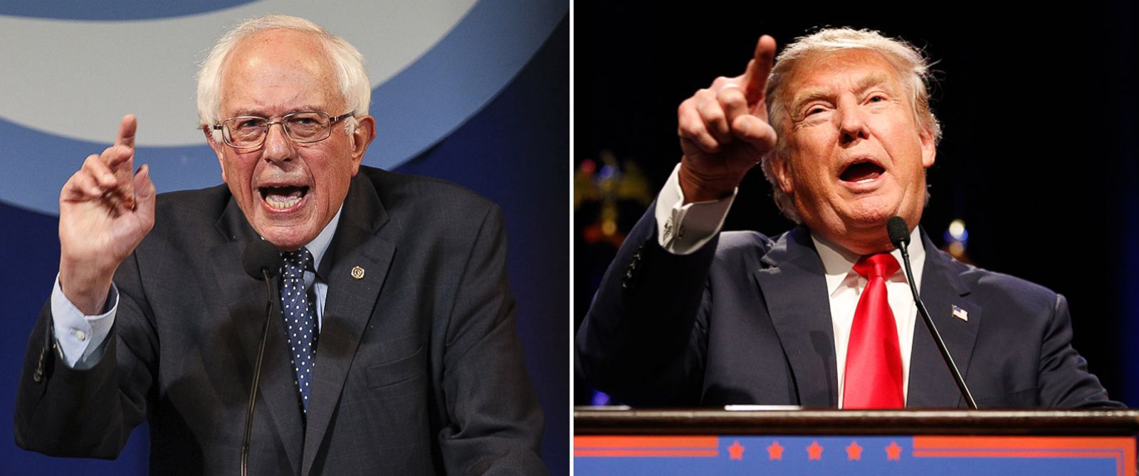 marketing-bernie-vs-donald